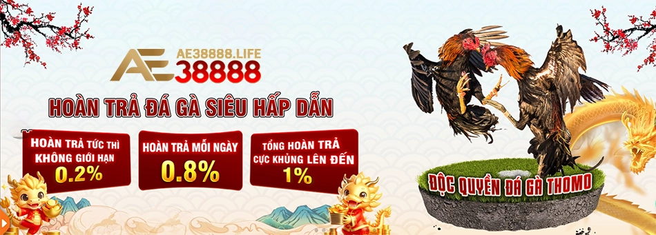 ưu đãi Hoàn Trả Cược Thua Hàng Ngày - Thỏa Sức Đam Mê, Vận May Luôn Đồng Hành ae38888
