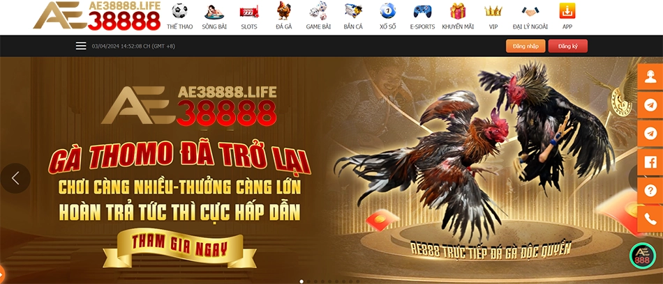 những Lý do người chơi nên lựa chọn tham gia Đá gà AE38888