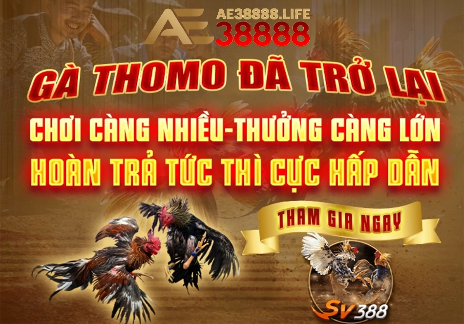 những Mục đích sử dụng thông tin cá nhân ae38888