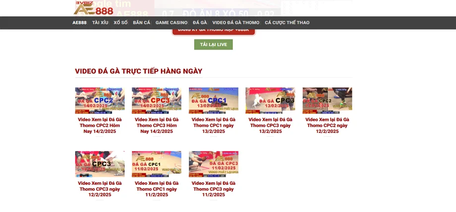 Cũng cấp nhiều video phát lại của đá gà thomo