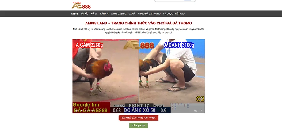 Giới thiệu trang web xem đá gà thomo AE888 3Vbiz